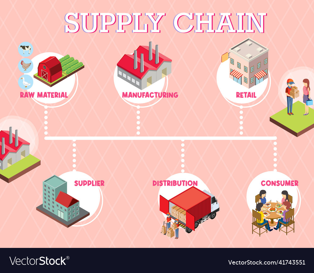 Diagram of supply chain management Royalty Free Vector Image