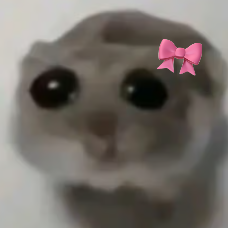 sadhamster Discord Emoji