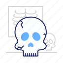 death, skeleton, skull