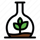 bong, plan, test, science, agriculture