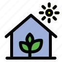 greenhouse, gardening, plant, sun, agriculture