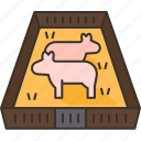 agriculture, farm, cattle, domestic, animal