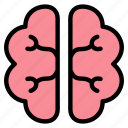 mind, brain icon, brain, organ, idea