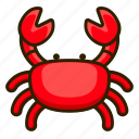 animal, beach, crab, seafood