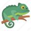 chameleon, amphibian, change, color, lizard, reptile, zoo 