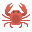 crab, animal, creature, crustacean, ocean, sea, seafood