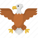 eagle, america, american, bird, independence, united states, us