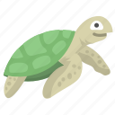 turtle, animal, ocean, reptile, sea, tortoise