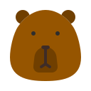 animal, bear, carnivore, cartoon, fauna, head, zoo