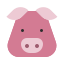 animal, cartoon, fauna, herbivore, pig, pork, zoo 