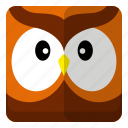 animal, bird, owl, zoo