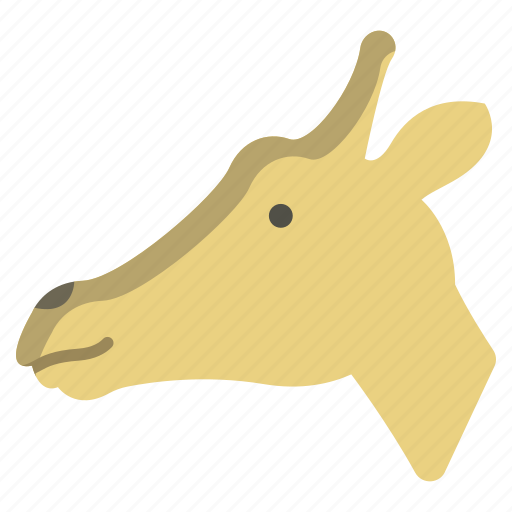 Giraffe icon - Download on Iconfinder on Iconfinder