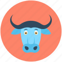 animal, bovine animal, bull, bullock, ox