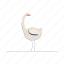 animals, swan, animal, bird, nature, wildlife