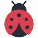 ladybug, insect, creature, animal, bug