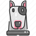 animal, animals, breed, bull terrier, dog, mammal, pet