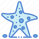 animal, aquarium, ocean, starfish