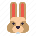 animal, bunny, easter, rabbit