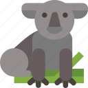 animal, australia, koala