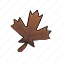 autumn, dry leaf, fall, leaf, maple, nature