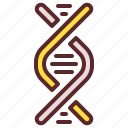 dna, genetics, helix, molecule, biology, science