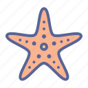 beach, marine, sea, starfish