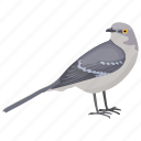 bird, columbidae, dove, peace bird, pigeon