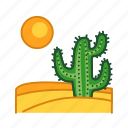 cacti, cactus, desert, plant