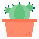 botanical, cactus, nature, plant