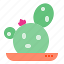 botanical, cactus, nature, plant