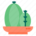 botanical, cactus, nature, plant