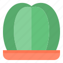 botanical, cactus, nature, plant