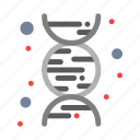 chemistry, dna, science