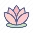 flower, garden, lotus, spring, spa, relax