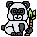 animal, bear, endangered, panda, wildlife