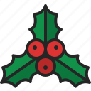 mistletoe, holly, berry, leaf, christmas, plant, leave