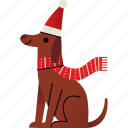 dog, christmas, animals, cute