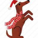 dog, christmas, animals, scarf