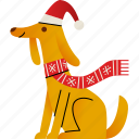 dog, christmas, scarf, animals