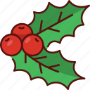 mistletoe, christmas, decoration, xmas, winter, cherry, celebration