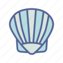 oyster, shell, food, marine, sea, aquatic