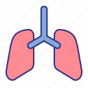 lungs, medical, organ, respiratory