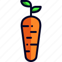 carrot, food, vegetable