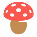 mushroom, vegetable, amanita, poison