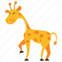 animal, camelopard, forest, giraffe, wild