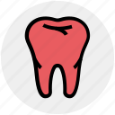 crack, dental teeth, dentist, stomatology, tooth