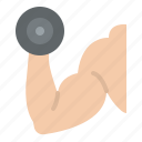 dumbbell, excercise, hand, muscle