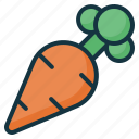 carrot, healthy, vegetable