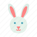 animal, bunny, cute, rabbit