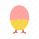 chicken, easter, egg, shell